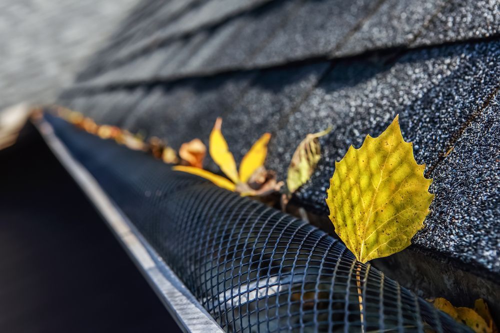 Gutter Guards